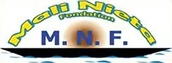 A picture of the logo for the nfi foundation.