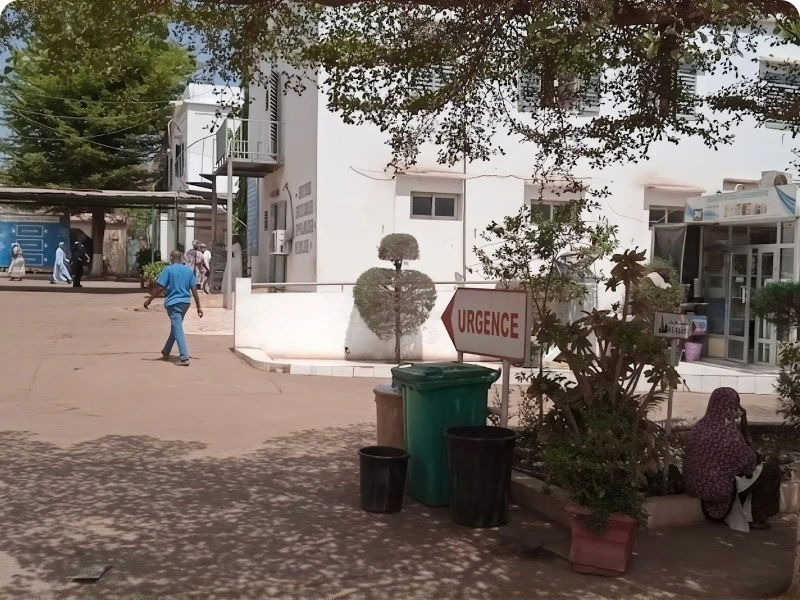 Woman sitting on the side of a street next to a building, surrounded by houseplants, trash bins, and a tree